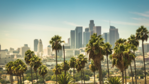 Los Angeles landscape, the setting of many physician jobs for orthopedics internal medicine family medicine neurology and primary care