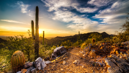 Physician Jobs – Arizona