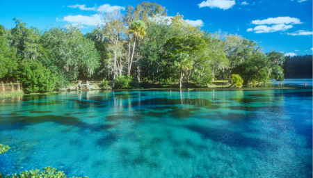 Physician Jobs - Florida