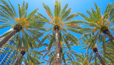 Physician Jobs – Florida