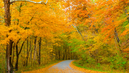 Physician Jobs - Indiana