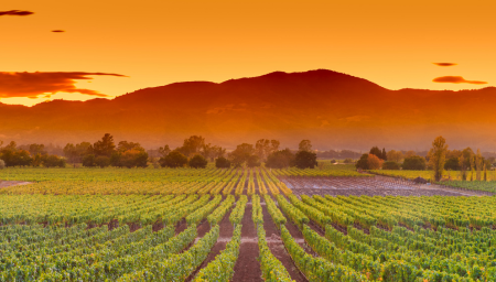 Physician Jobs - Napa Sonoma