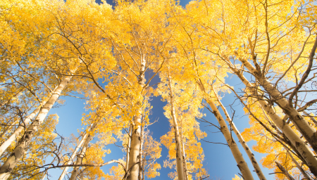 Physician Jobs - Utah