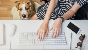 Dog interrupting a virtual interview