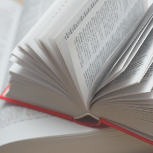 Dictionary that defines terms such as visa