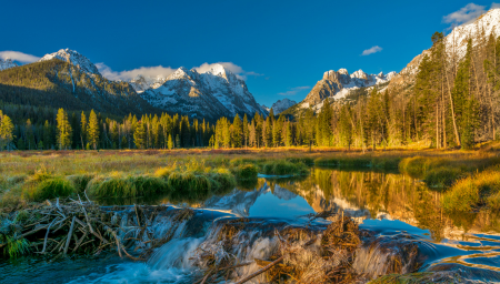 Physician Jobs - Idaho